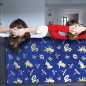 Couverture Harry Potter Poudlard