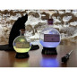 Lampe Potion Harry Potter (20 cm)