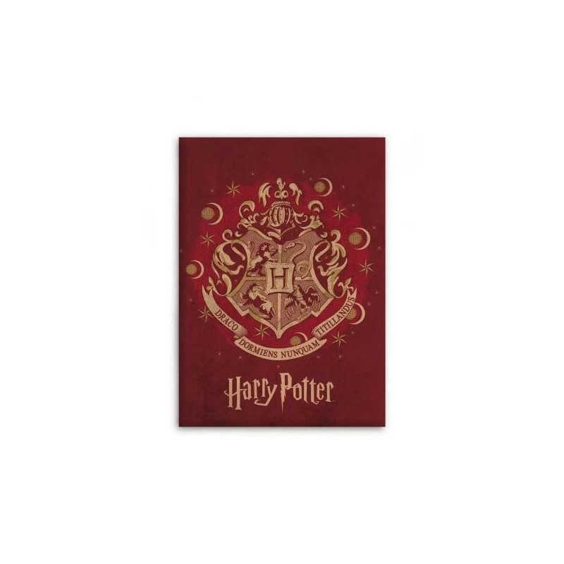 Plaid Harry Potter Hogwarts