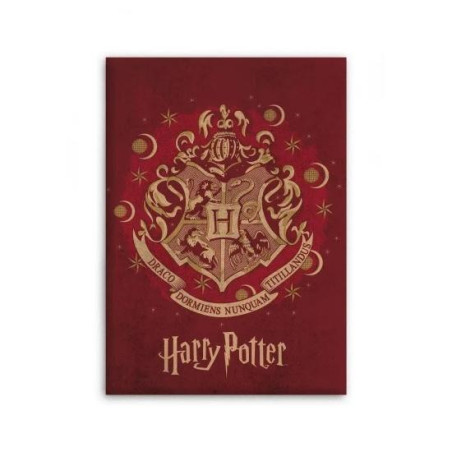 Plaid Harry Potter Hogwarts