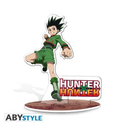 Hunter X Hunter - Acryl Gon