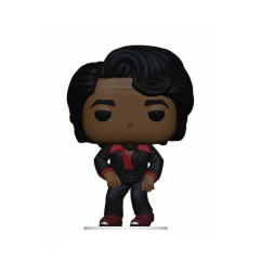 Rocks POP! James Brown