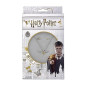 Collier et Boucles Harry Potter - Vif d'Or