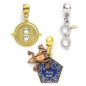 Pendentifs Charm Harry Potter