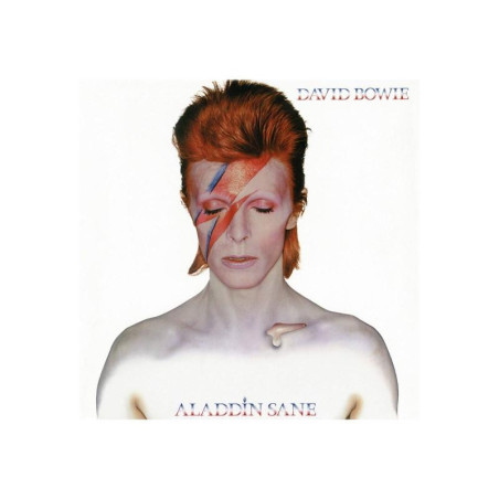 Puzzle 500p - David Bowie Aladdin Sane