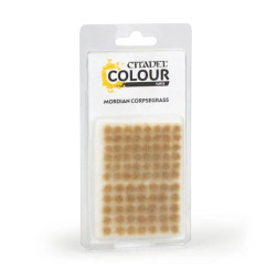 Touffes d’herbe Mordian Corpsegrass