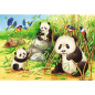 Puzzles 2x24p - Mignons koalas et panda