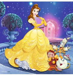 Puzzles 3x49p - Aventure des princesses