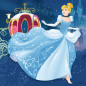 Puzzles 3x49p - Aventure des princesses
