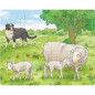 Puzzles Bébés Animaux de la Ferme
