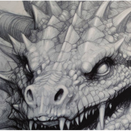 Playmat Répliquant - Etude des Dragons