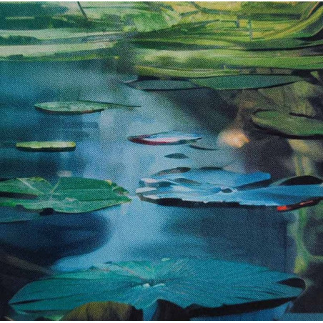 Playmat Répliquant - Champs de Nymphea