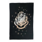 Harry Potter Poudlard Gold - Pack de 2 Torchons