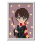 Numéro d'art - 13x18cm - Harry Potter