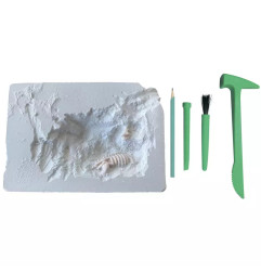 Mes 2 dinosaures à déterrer