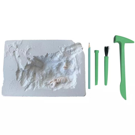 Mes 2 dinosaures à déterrer