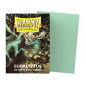 Sleeves Dragon Shield Dual Matte - Eucalyptus