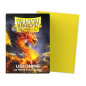 Sleeves Dragon Shield Dual Matte - Lightning Sleeves Dragon Shield Dual Matte - Lightning
