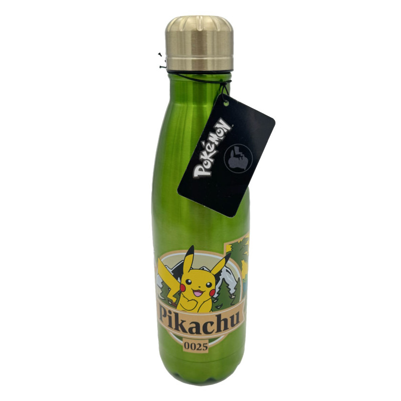 Gourde Pokémon - A Wild Pikachu