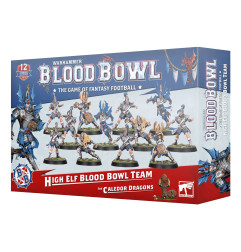 Blood Bowl Team High Elf
