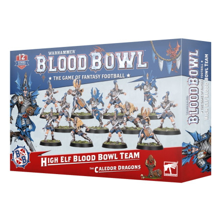 Blood Bowl Team High Elf
