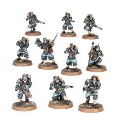 Astra Militarum - Death Korps de Krieg