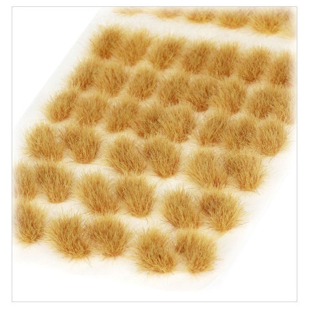 Touffes d’herbe Mordian Corpsegrass