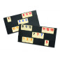 Rummy (Jeux Classiques)