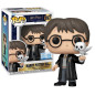 Harry Potter POP! Harry avec Hedwige n°197