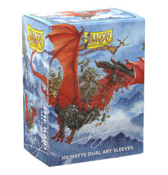 Sleeves Dragon Shield Dual Art - The Raid