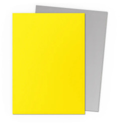 Sleeves DS Dual Matte - Yellow & Silver (x100)
