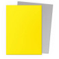 Sleeves DS Dual Matte - Yellow & Silver (x100) Sleeves DS Dual Matte - Yellow & Silver (x100)