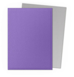 Sleeves DS Dual Matte - Nebula & Silver (x100)