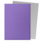 Sleeves DS Dual Matte - Nebula & Silver (x100) Sleeves DS Dual Matte - Nebula & Silver (x100)