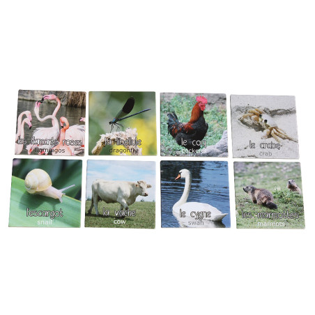Mémo Animaux