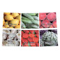 Mémo Fruits et Légumes