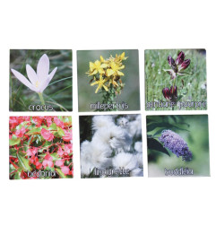 Mémo Fleurs