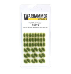 Touffes d’herbe Verdia Veldt