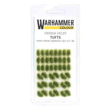 Touffes d’herbe Verdia Veldt