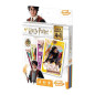 Jeu des 7 familles - 4 en 1 - Harry Potter