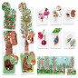 Flashcards My First Nature